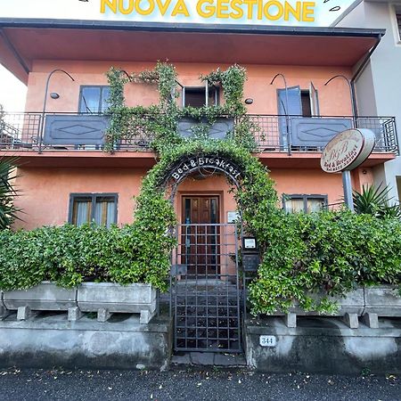 B&B La Casa Di Zia Lina Monsummano Terme Eksteriør billede
